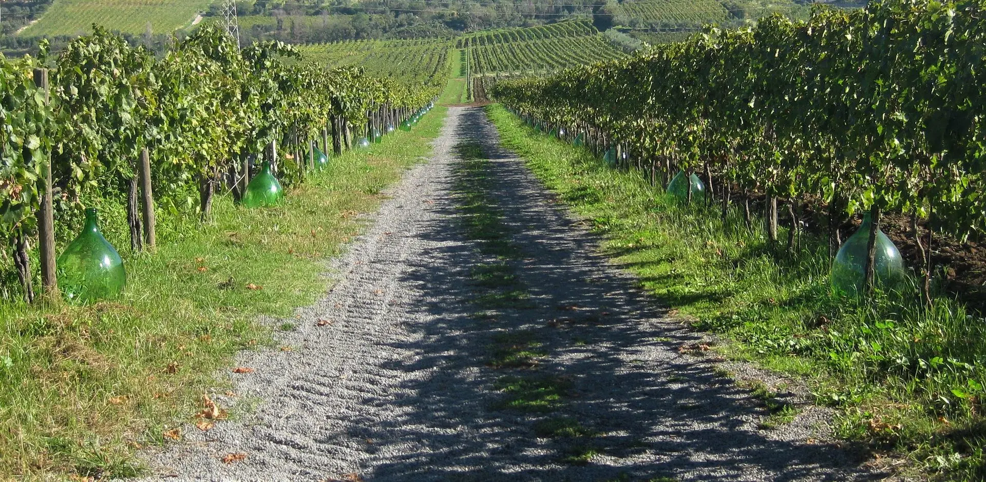 De Sanctis