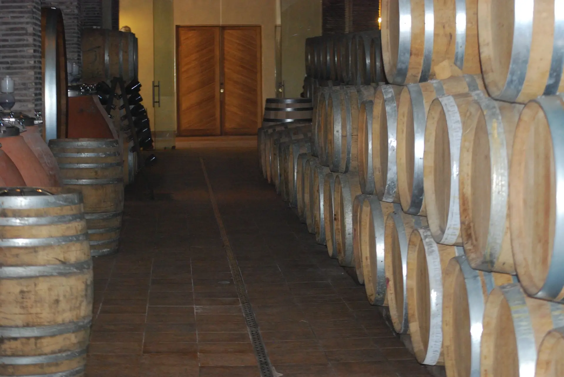 cellier Carpineti