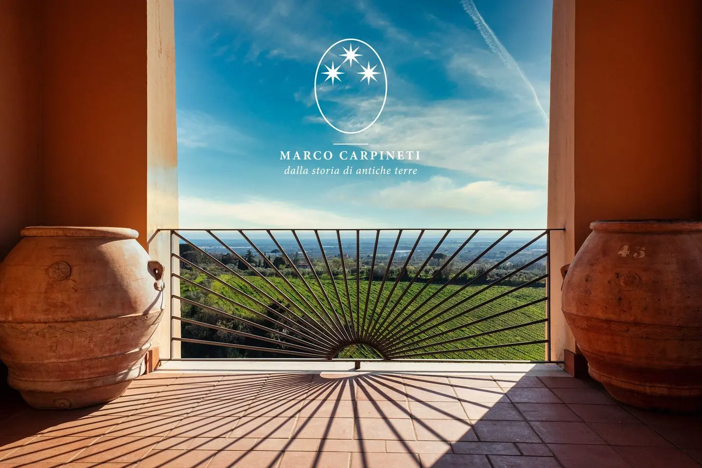 Vignoble capolemole