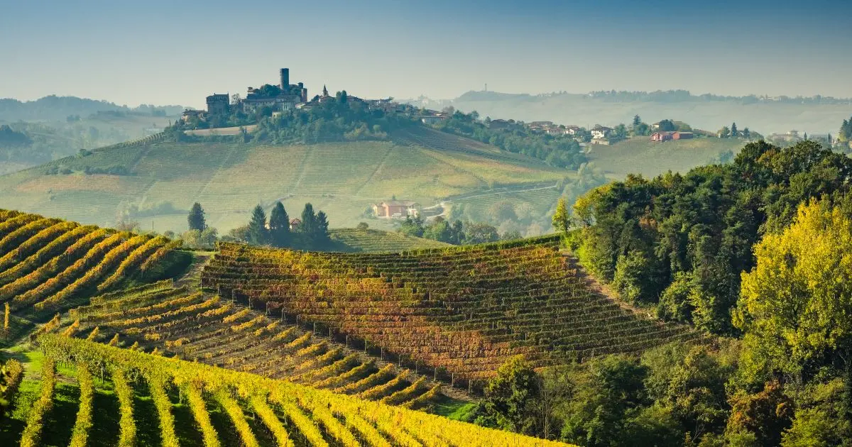 Frascati