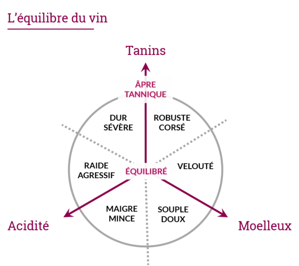 équilibre du vin