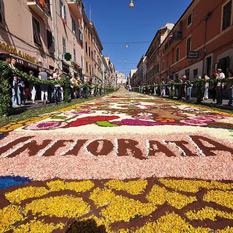 Infiorata cavalieri