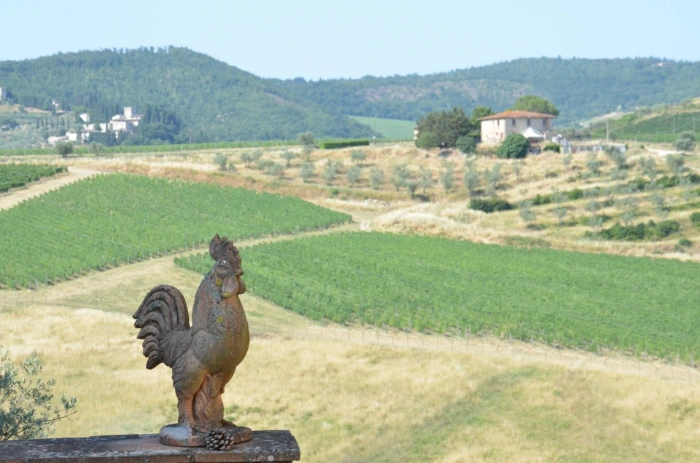 Toscane Chianti