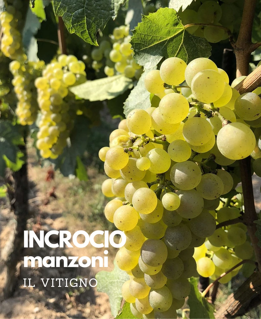 Incrocio manzoni