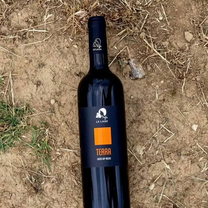 terra terre.webp