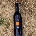 terra terre.webp