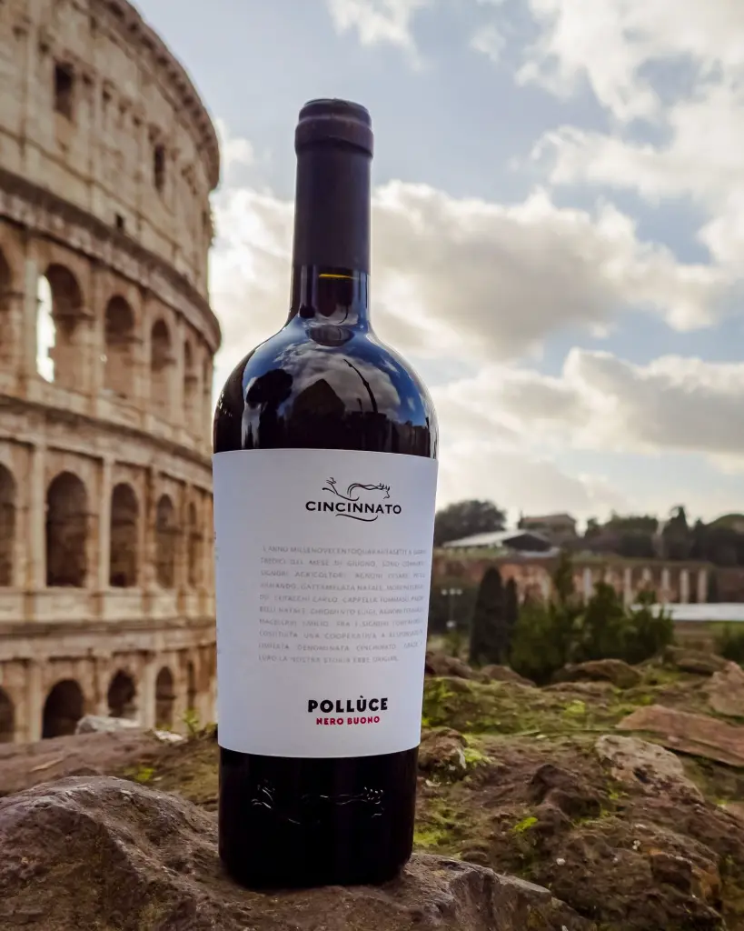 Colisée et nero buono.webp