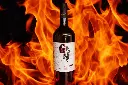 grechetto vin de feu.webp