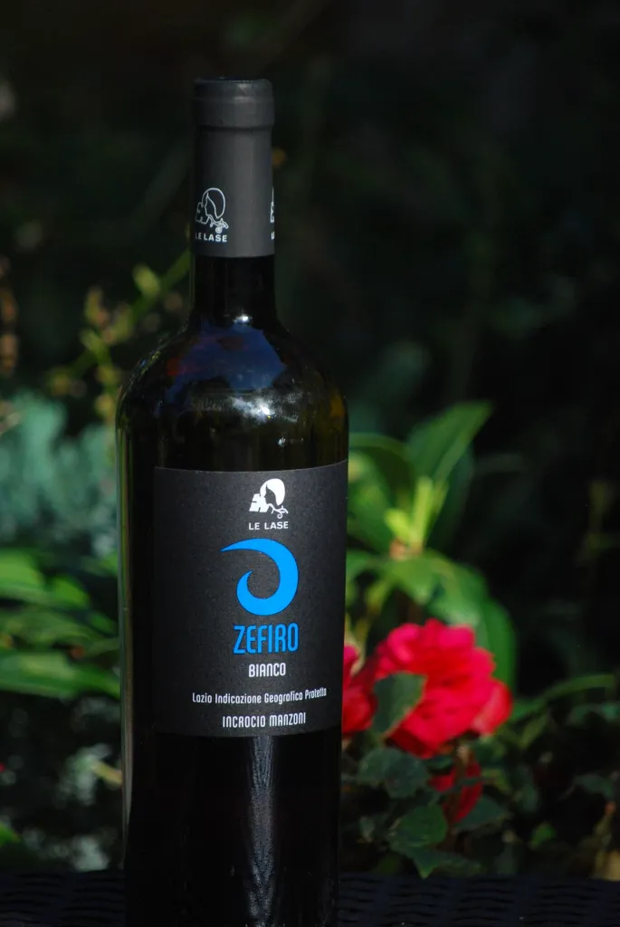 zefiro (1).webp