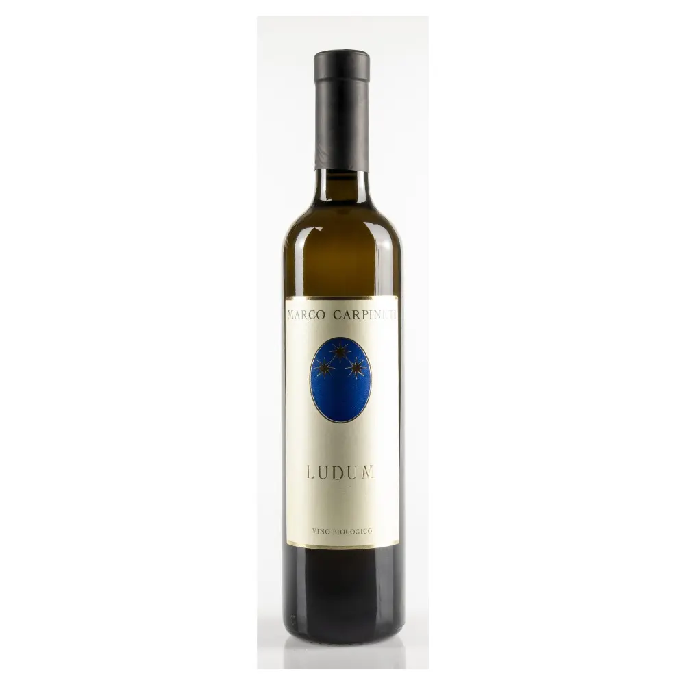 Ludum passito 2021 IGT 50 cl (Arciprete) BIO